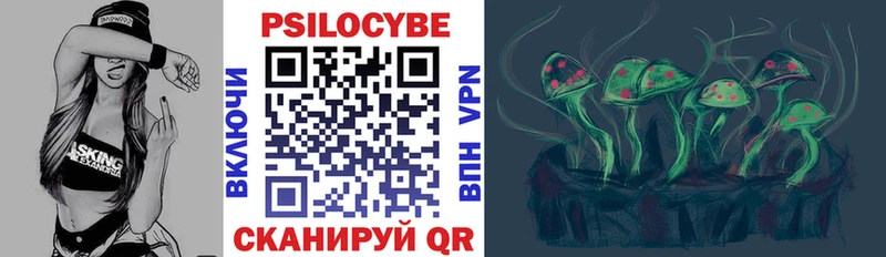 купить наркотики цена  Бердск  kraken ТОР  Галлюциногенные грибы Cubensis 